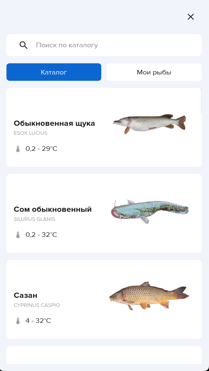 Умная рыбалка