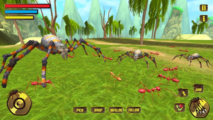 Wild Spider Tarantula Hunter