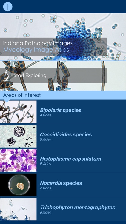 Mycology Image Atlas