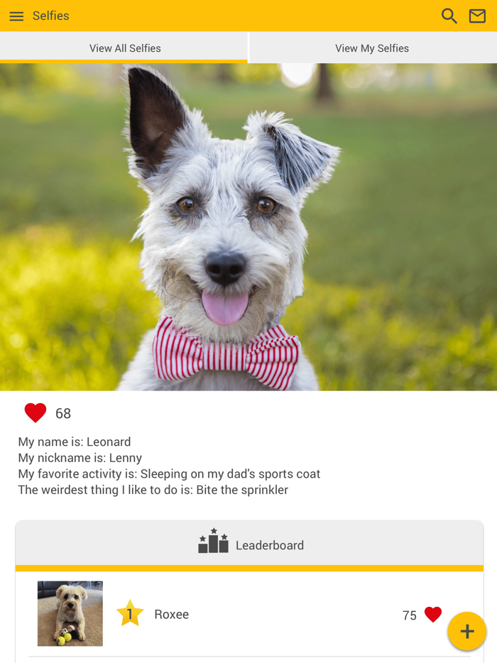 Northbrook Animal Clinic