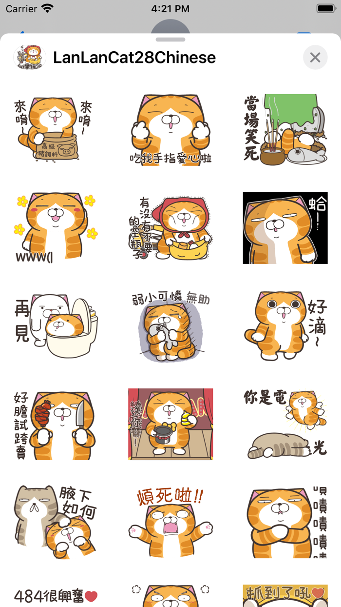 白爛貓28 動不停