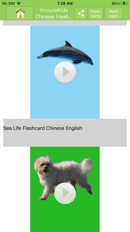 Chinese Flashcards Lite