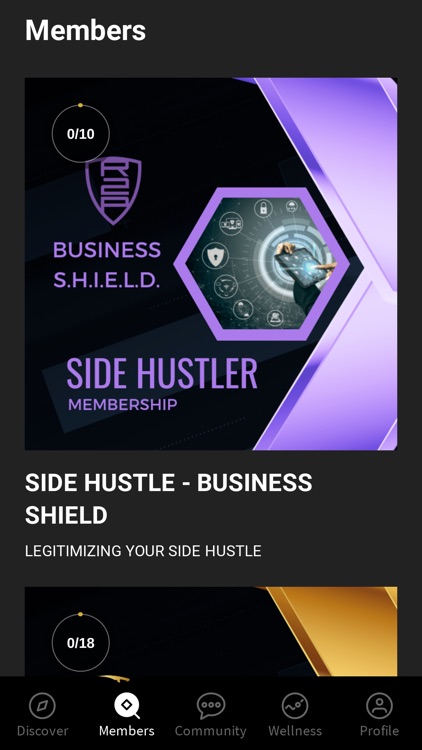 Business S.H.I.E.L.D.