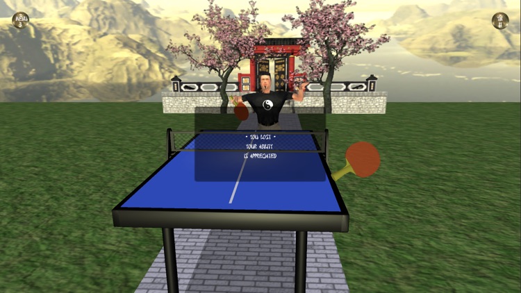 Zen Table Tennis