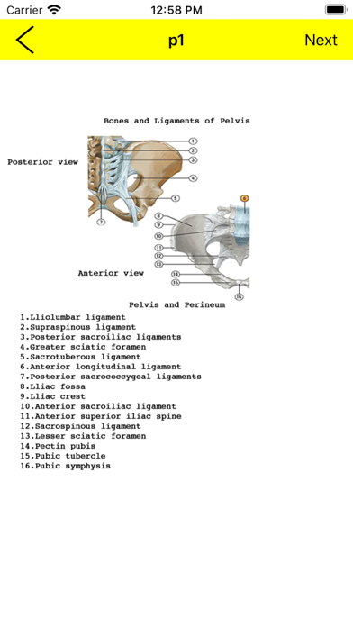 How to cancel & delete Anatomy Flashcard from iphone & ipad 1