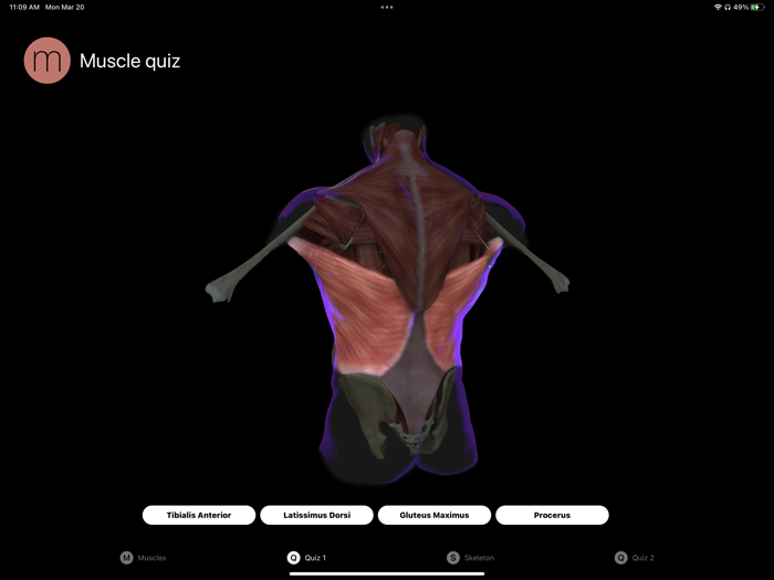 Human Anatomy Study Guide