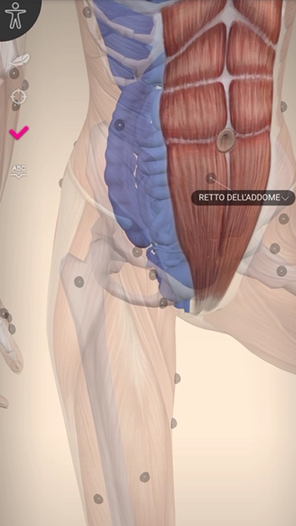 AnatomyMap screenshot-5