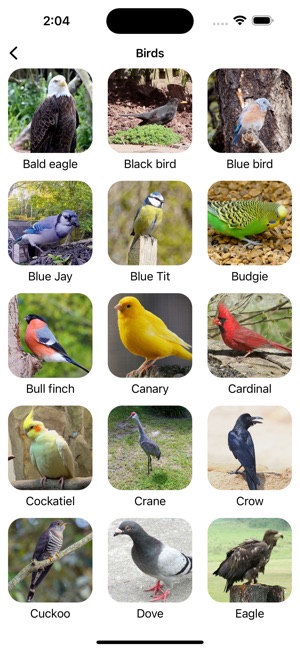 [2024] Animal Sounds Pro & Bird Noise for iPhone / iPad, Windows PC 🔥