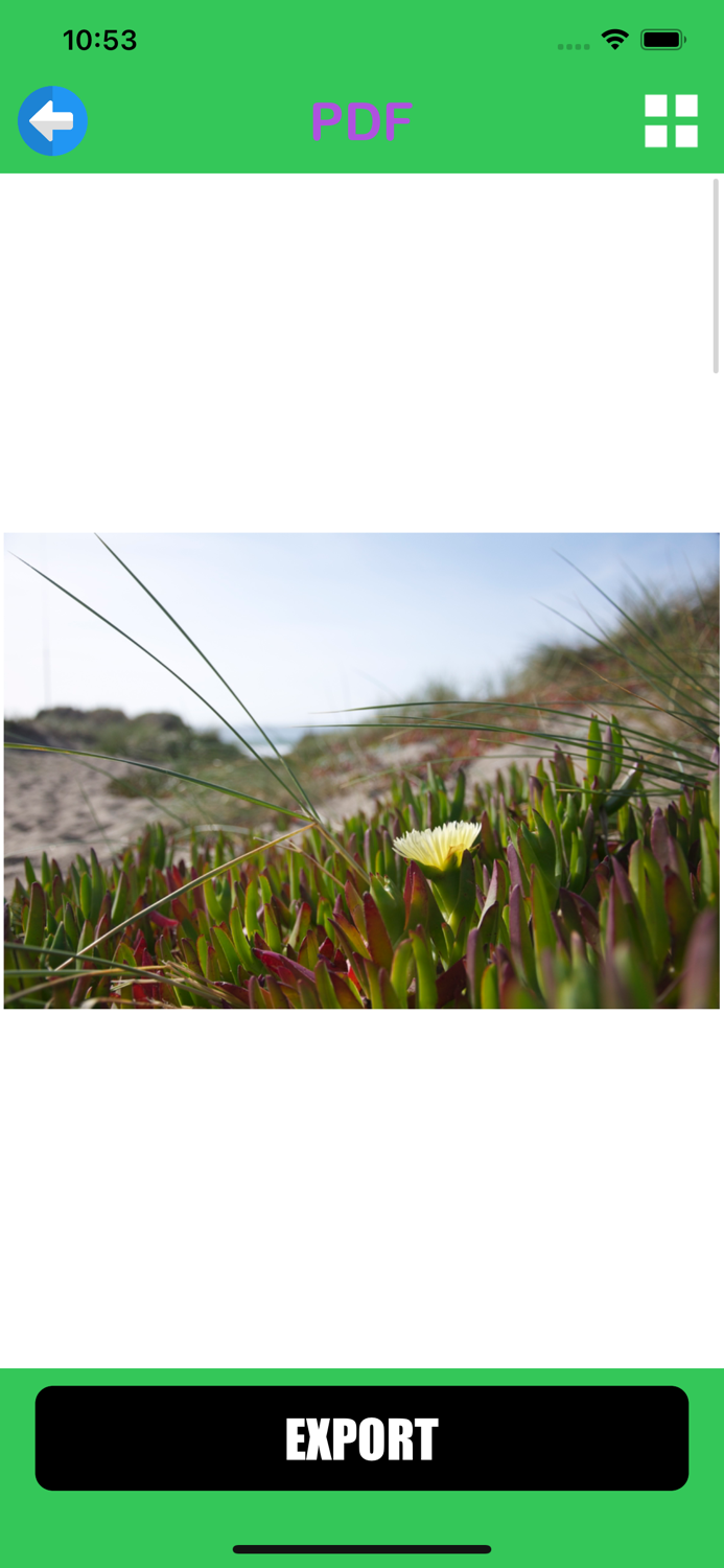 سم صورة متعددة التوليف