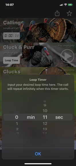 Game screenshot Turkey Calls for Hunting App apk