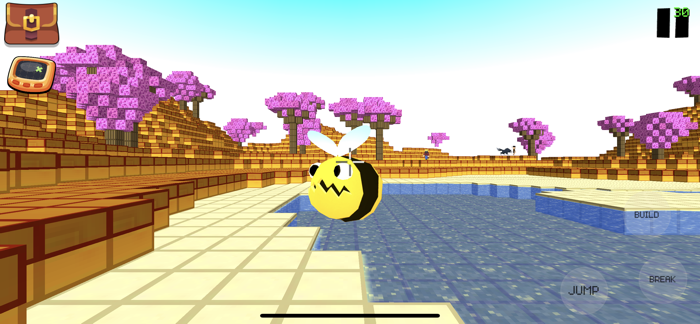 Monster Dragon Trainer Craft