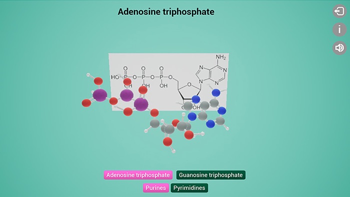 Biomolecules Macromolecules
