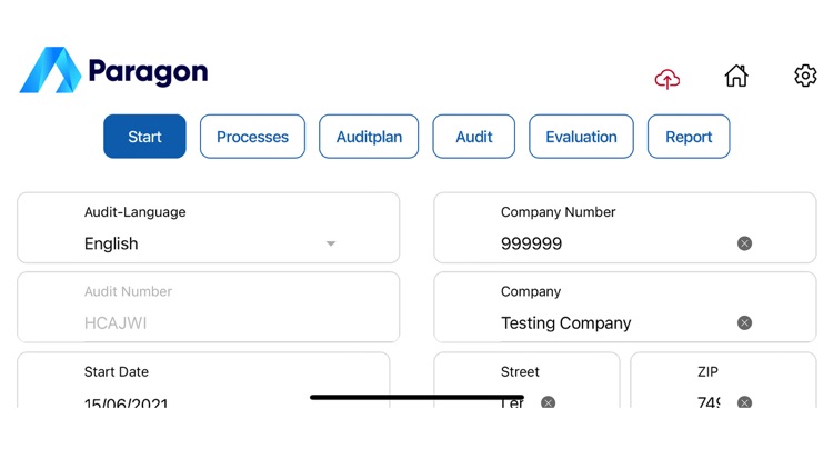 Paragon Audit