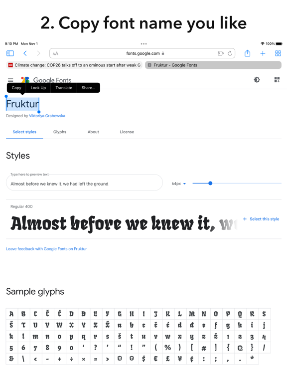 Any Font for Safari screenshot 4