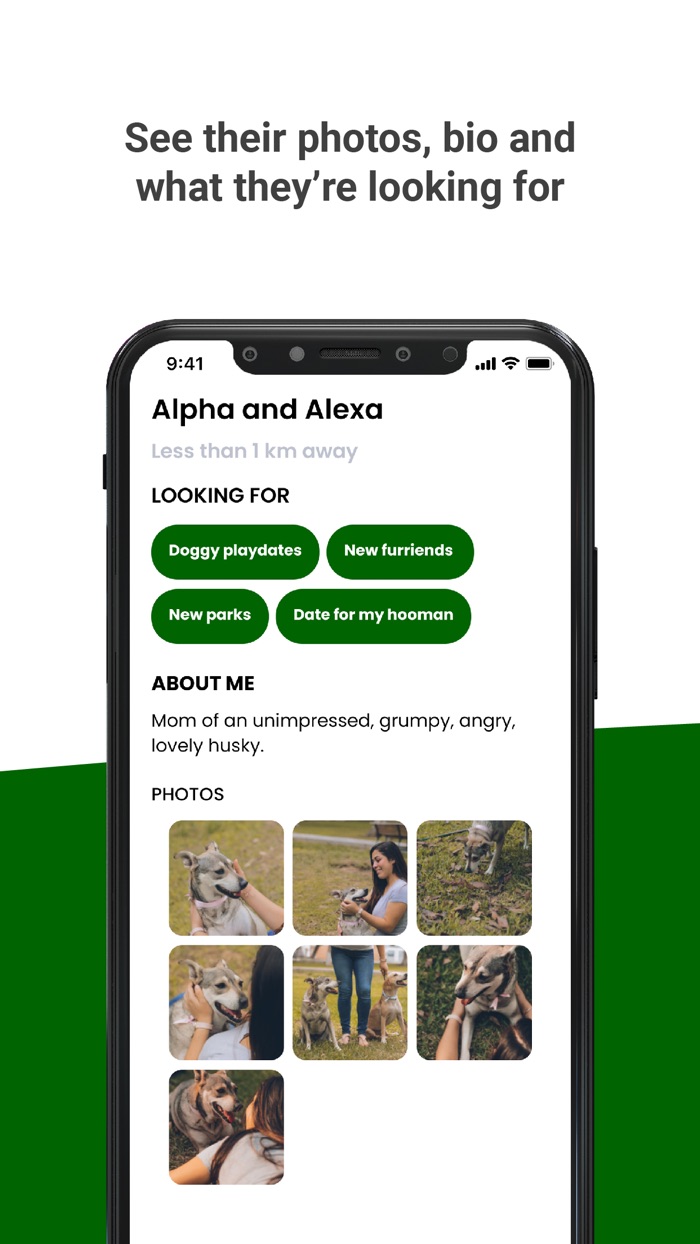 Boop - Dog Meetups and Chats