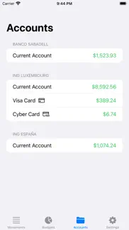 budgets - personal finances iphone screenshot 3