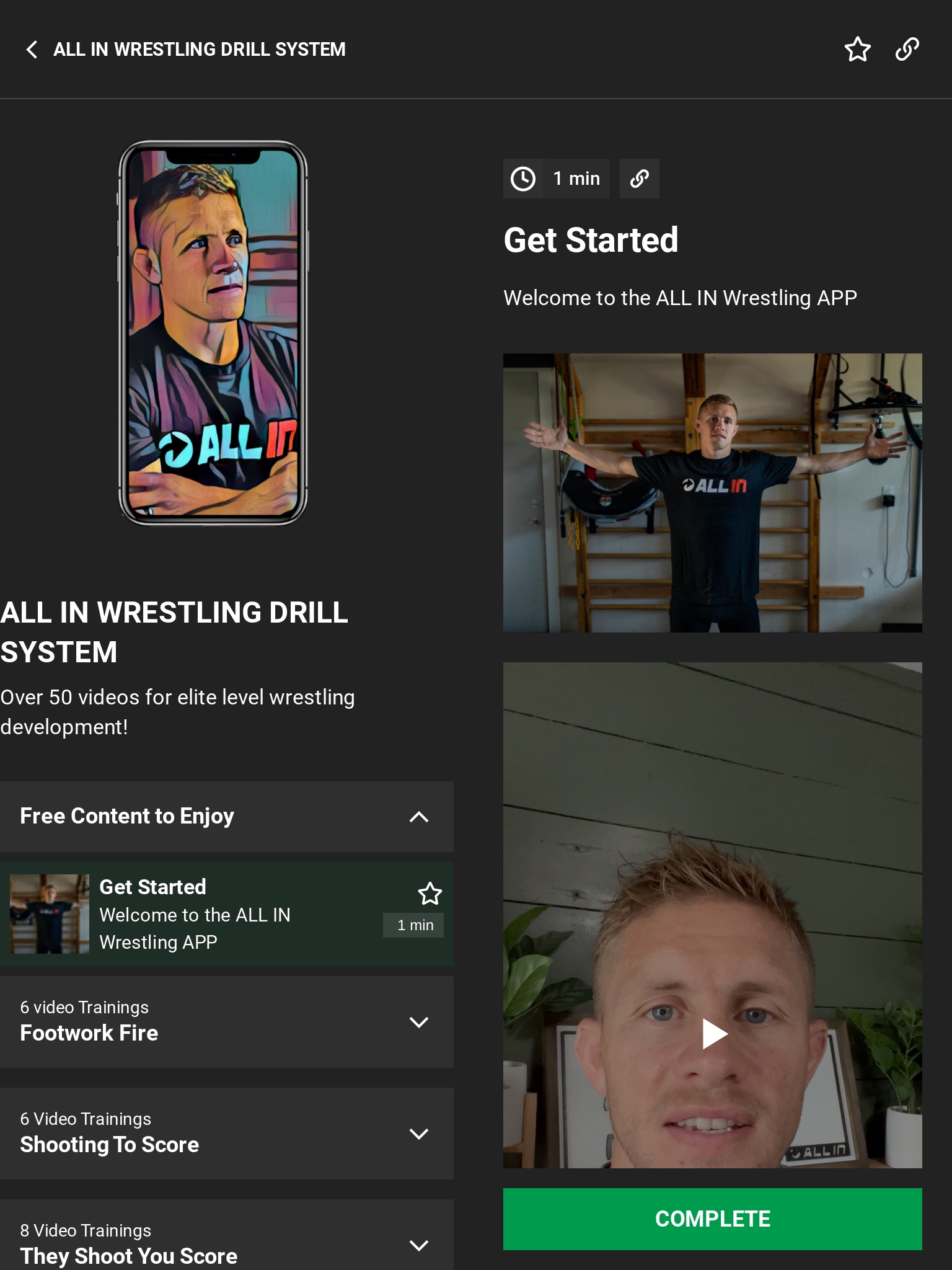 ALL IN WRESTLING screenshot 4