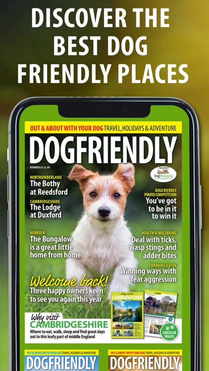 Dog Friendly Magazine