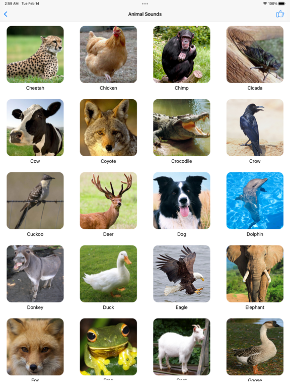 Animal Sounds Voice Effects | App Price Drops