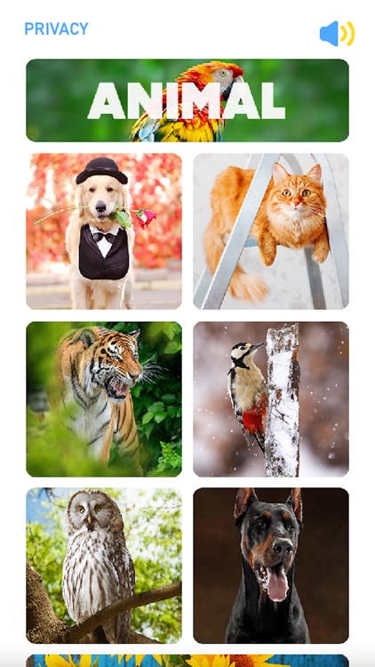 Antistress Jigsaw Puzzle screenshot-3