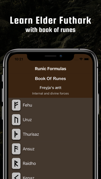 RunicFormulas&BookofRunes