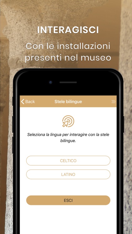 Museo Leone screenshot-3