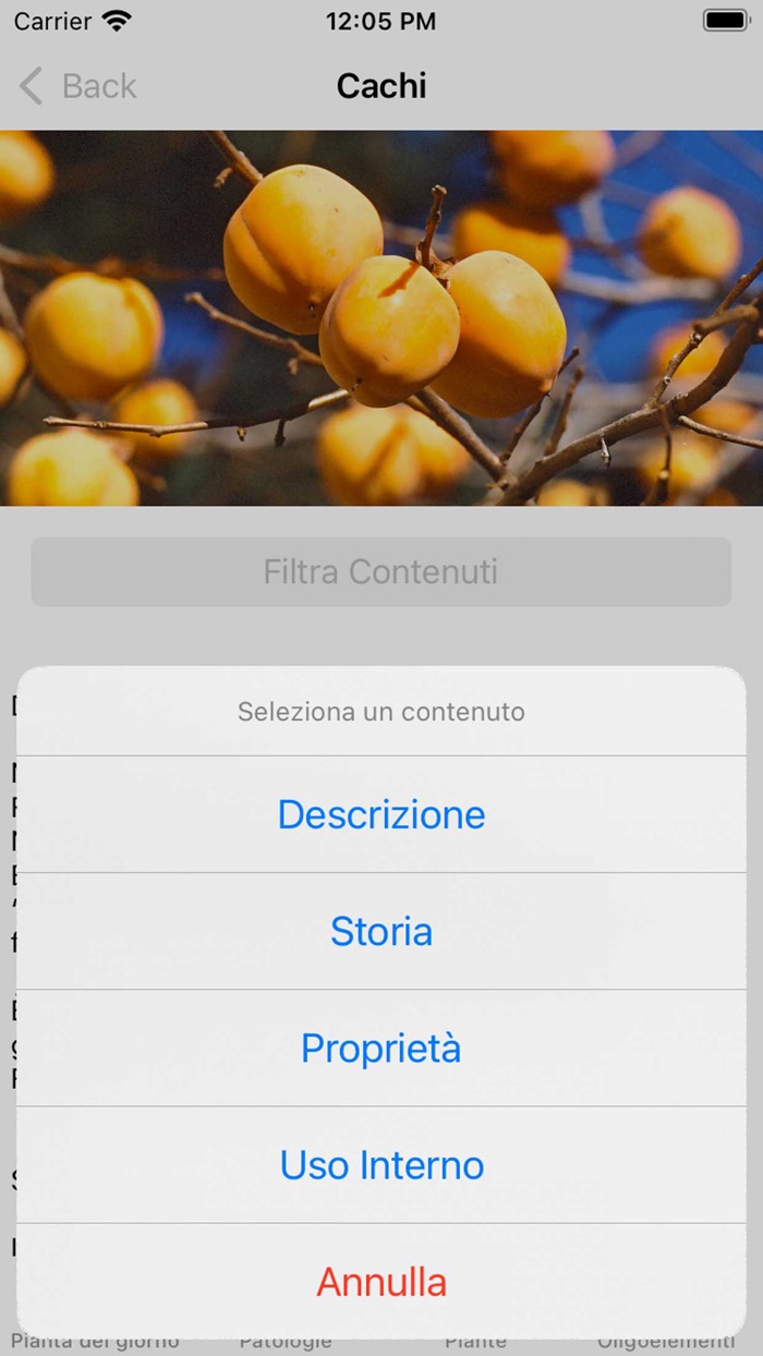 Fitoterapia per tutti
