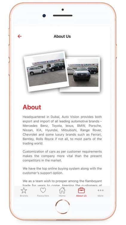 Auto Vision-LLC screenshot-4