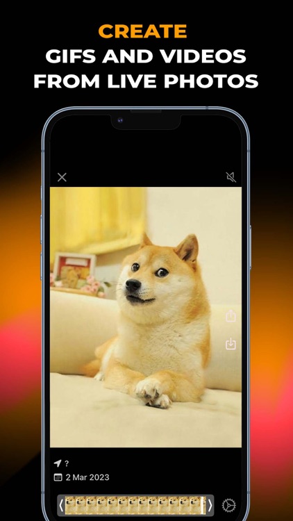 Live Photo Converter GIF Maker