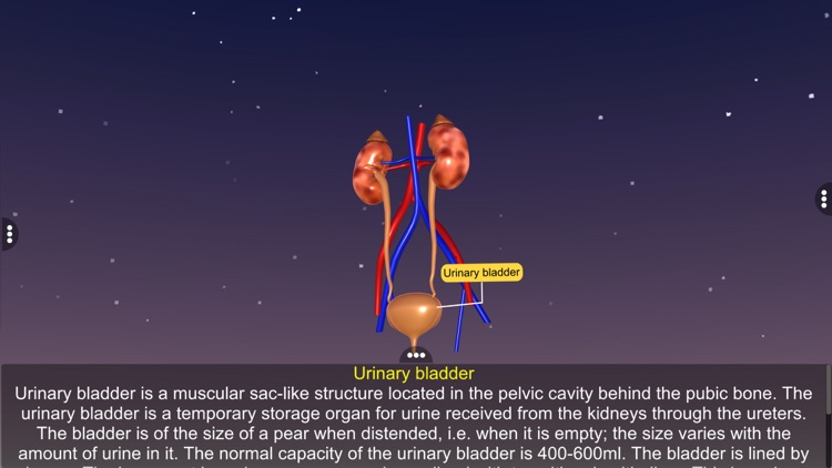 Human excretory system screenshot-4