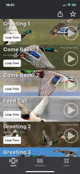 Game screenshot Mallard Duck Calls mod apk