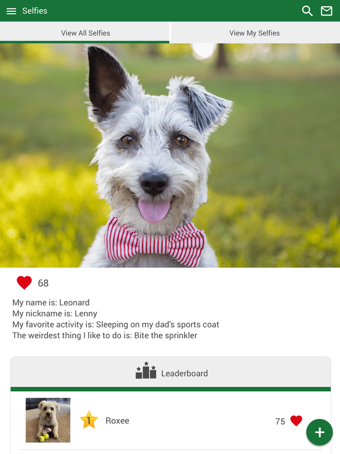 Magnolia Animal Clinic