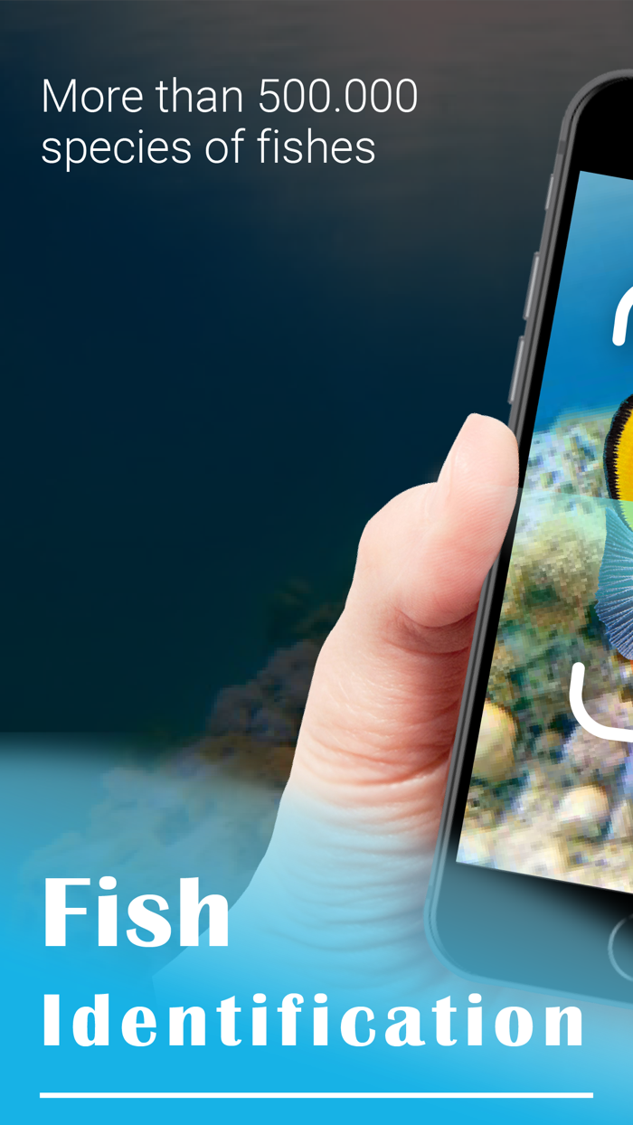 Fish Identifier - Fishing