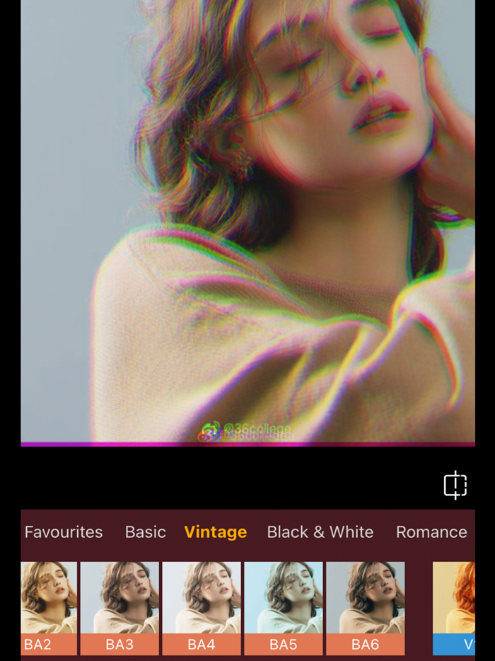 Aesthetic Photo - Collage