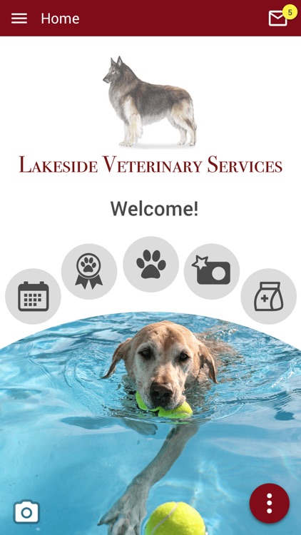 Lakeside Vet