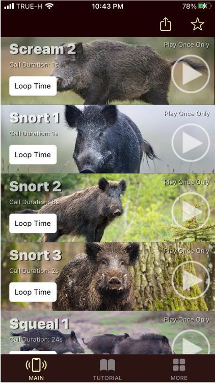 Wild Hog Calls screenshot-6