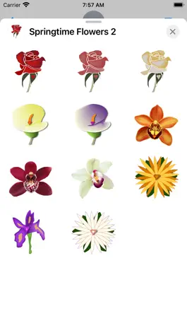 Game screenshot Springtime Flowers 2 mod apk