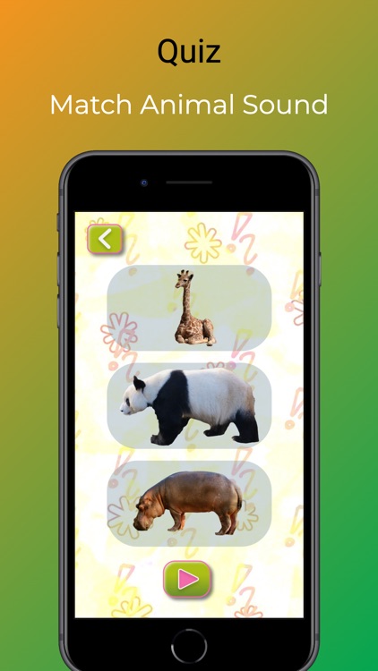 Animal Names - French screenshot-7