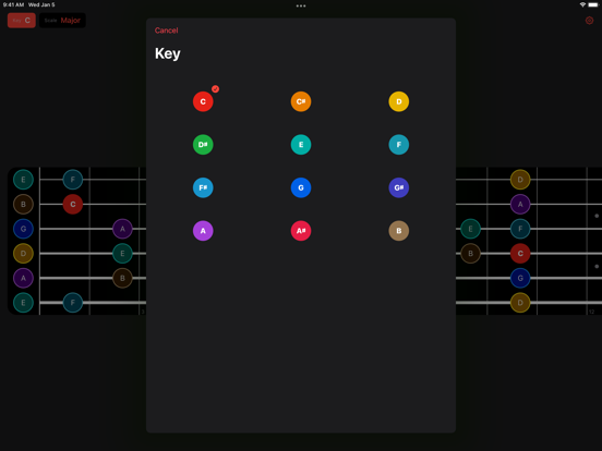 Guitar Fretboard String Theory screenshot 3