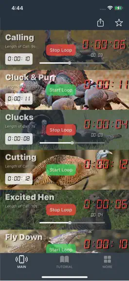 Game screenshot Turkey Calls for Hunting hack