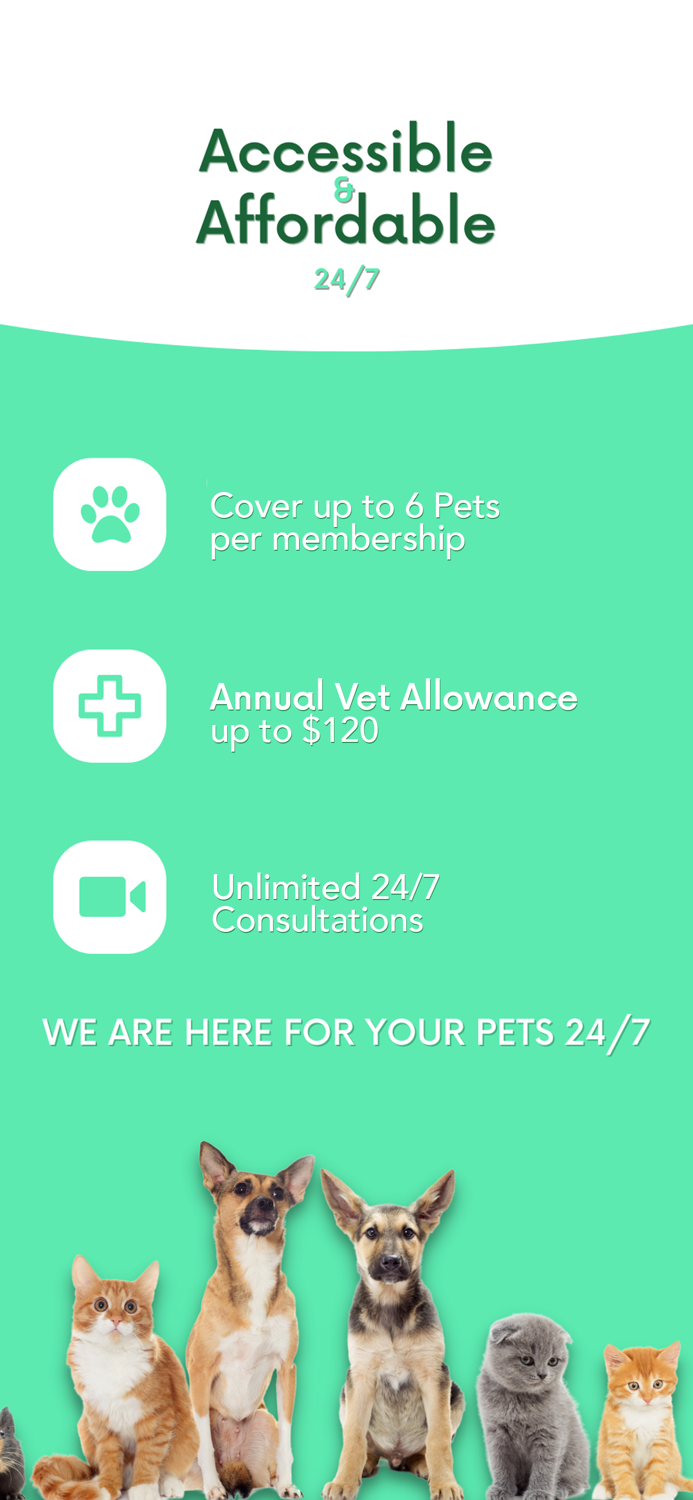 Dial A Vet 24/7 Pet Care
