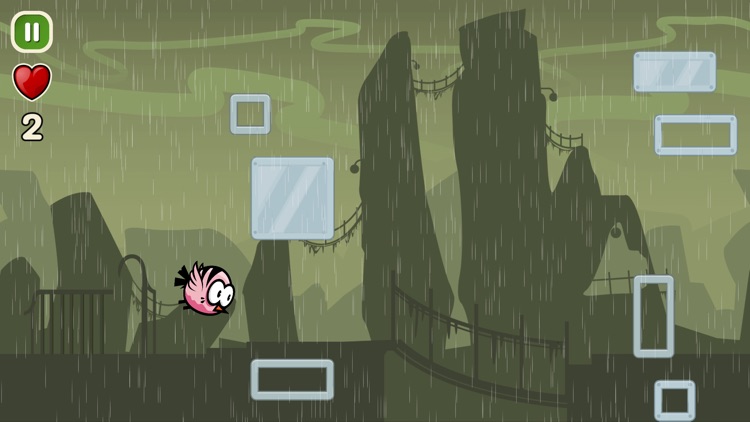 Coco Bird screenshot-3