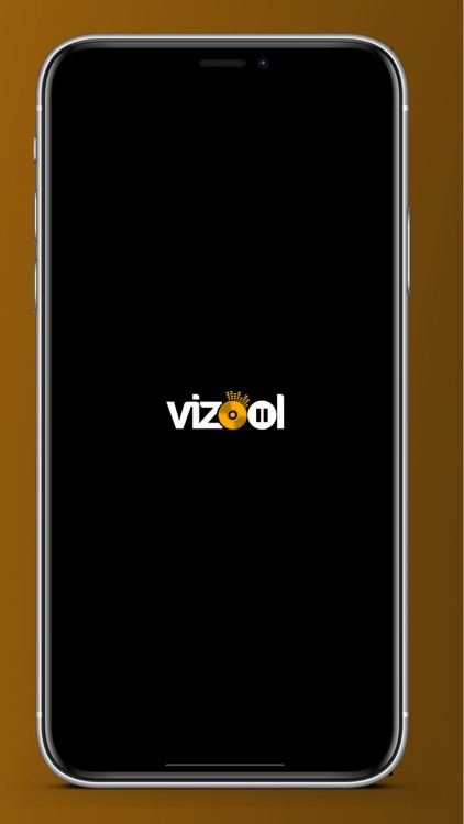 Vizool