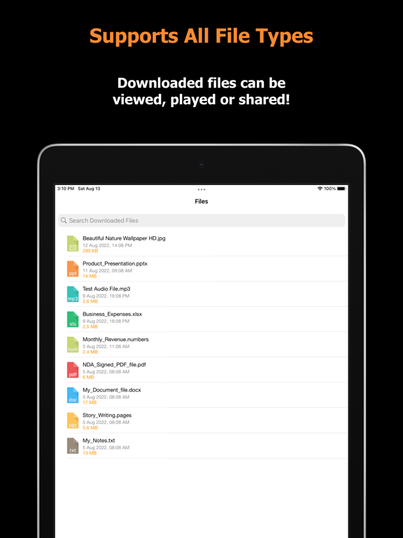 Blaze : Browser & File Manager screenshot 3