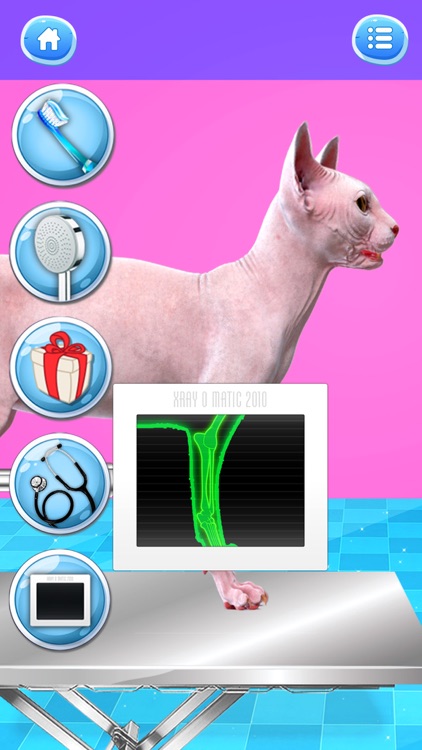 Cat Games: Pet Vet Doctor Care