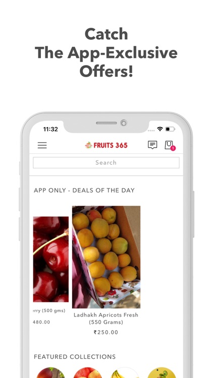 Fruits365 screenshot-3