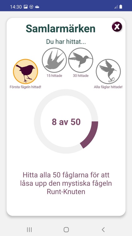 Fåglar Runt-Knuten screenshot-6