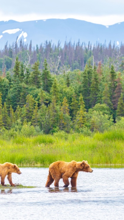 Alaska Wallpapers screenshot-4