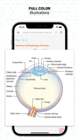 Game screenshot Essentials Clinical Medicine hack