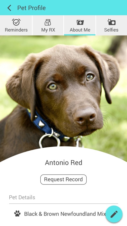 Willow Grace Vet Hospital